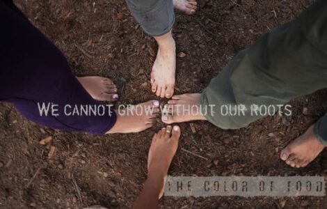 CSA Is Rooted in Black History Image